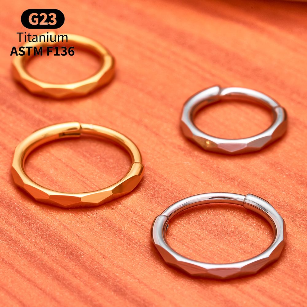 G23 Titan Facettierter CZ Segm – Septum Clicker Ring Bewertung und Preis