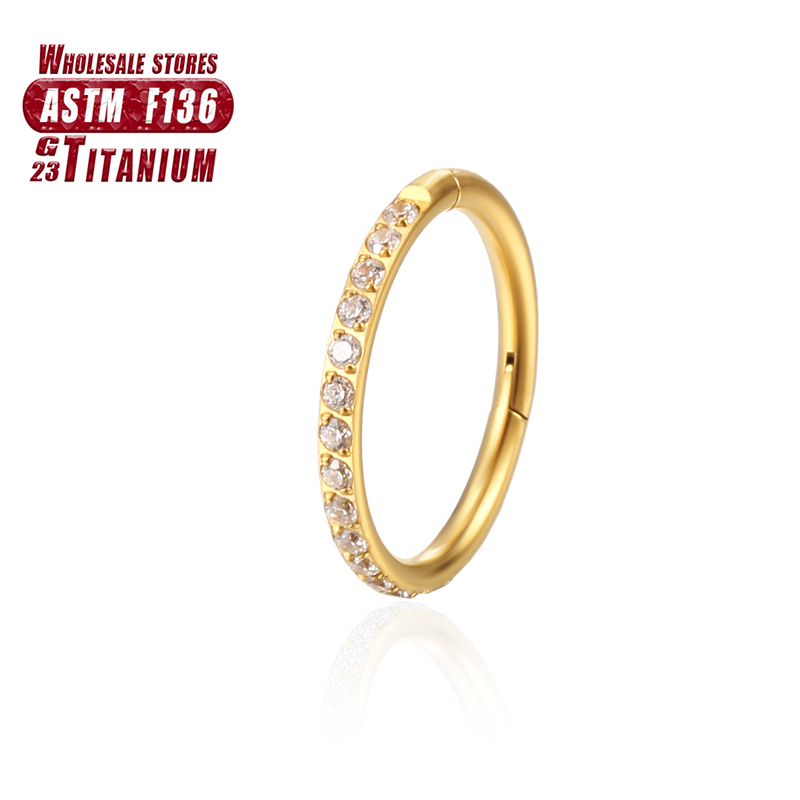F136 Titan-Nasenring, Implanta – Septum Clicker Ring Bewertung und Preis