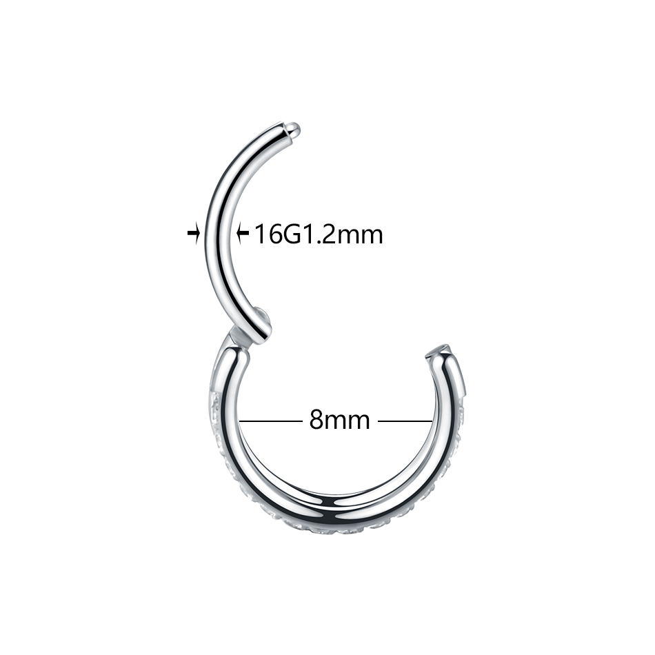1pc Titan Knorpel Hoop Ohrring – Septum Clicker Ring Bewertung und Preis