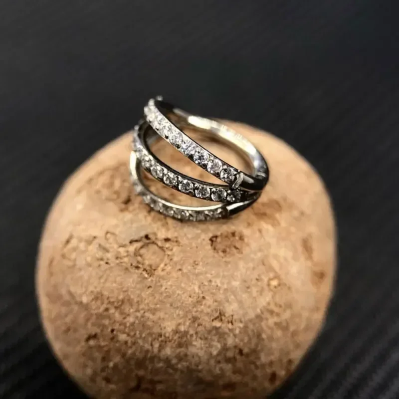 G23 Titan-Nasenring mit Scharn – Septum Clicker Ring Bewertung und Preis